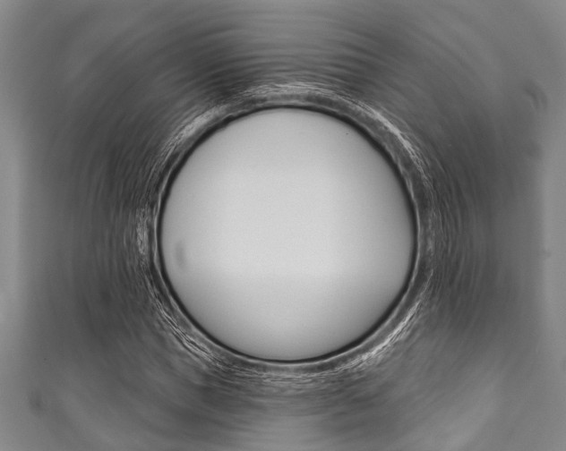 X0000111790921200907230946