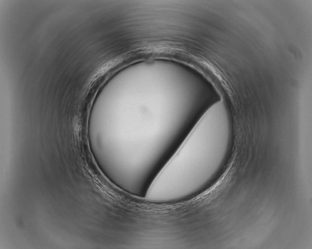 X0000111790922200907230946