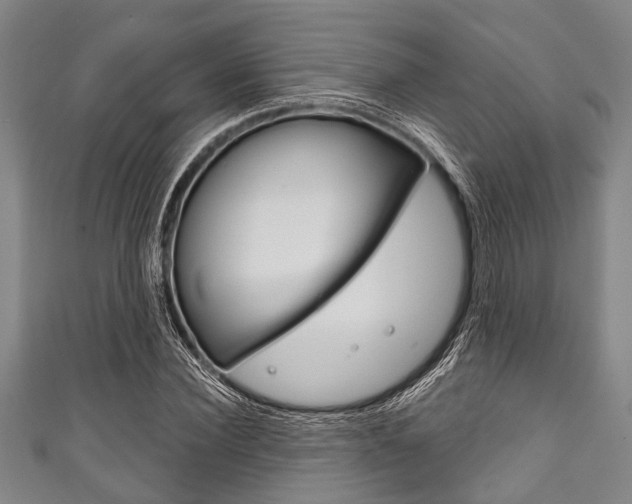 X0000111790924200907230946