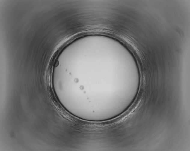 X0000111790925200907230946