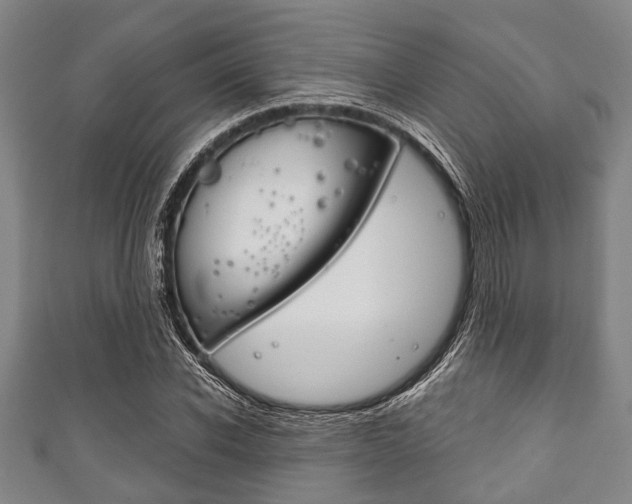 X0000111790926200907230946