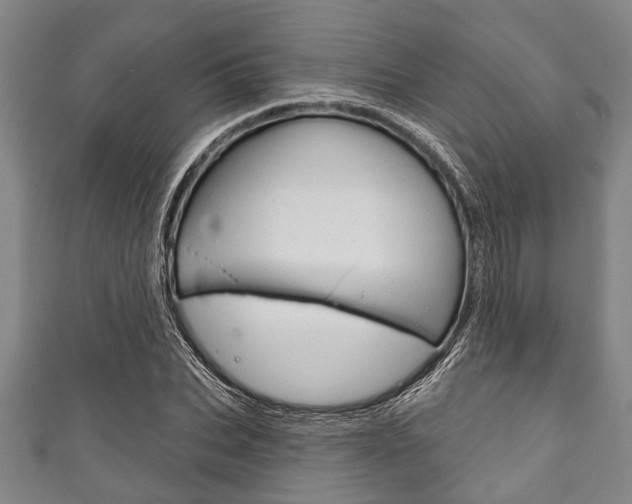 X0000111790927200907230946
