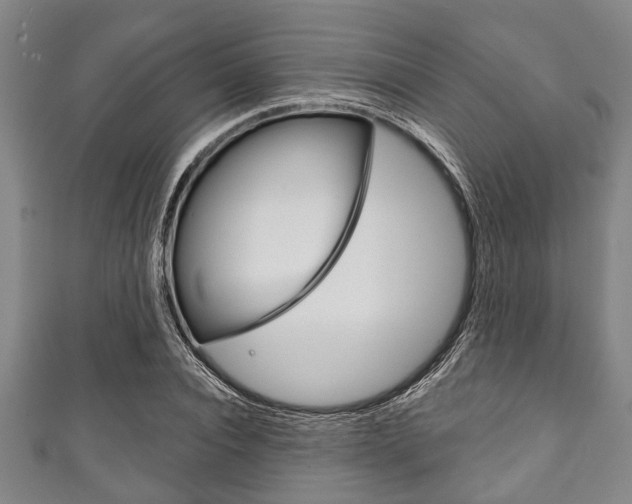 X0000111790928200907230946