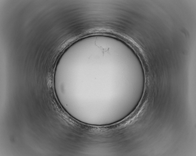 X0000111790929200907230946