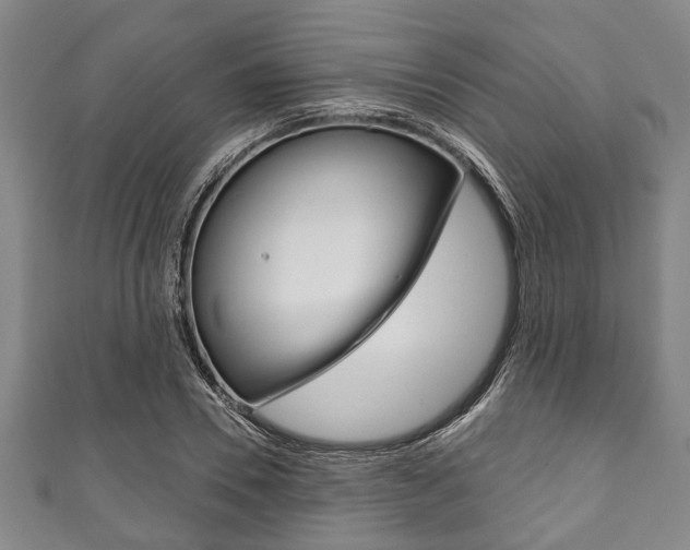 X0000111790930200907230946
