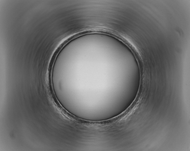 X0000111790932200907230946