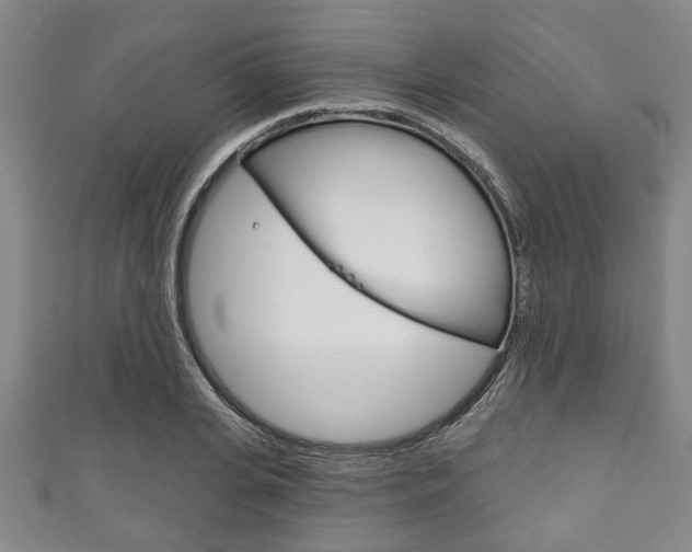 X0000111790935200907230946