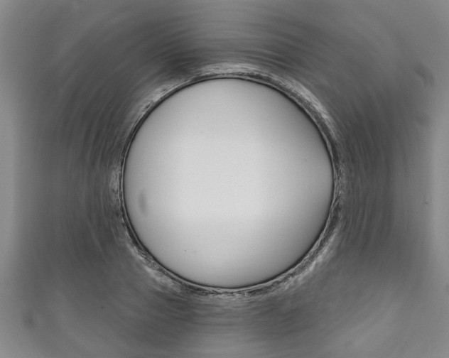 X0000111790937200907230946