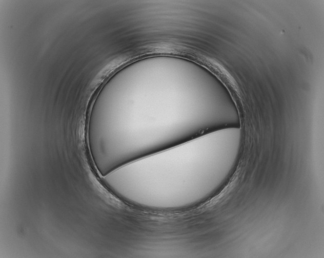 X0000111790938200907230946