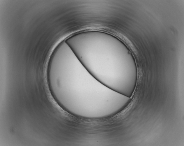 X0000111790939200907230946
