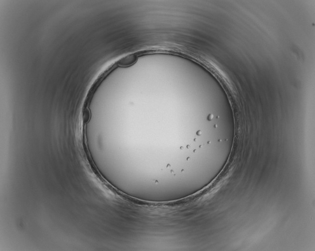 X0000111790940200907230946