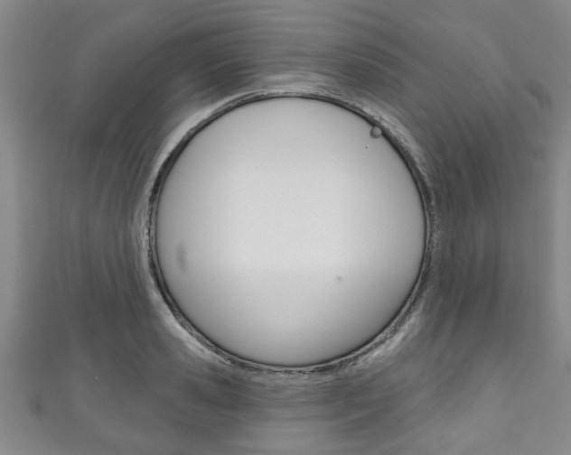 X0000111790941200907230946