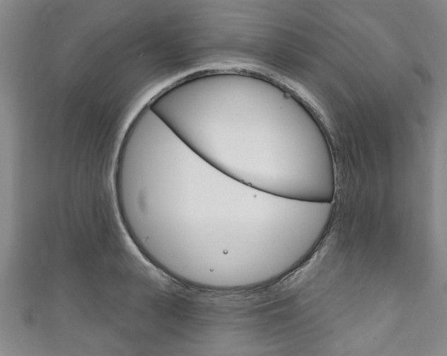 X0000111790943200907230946