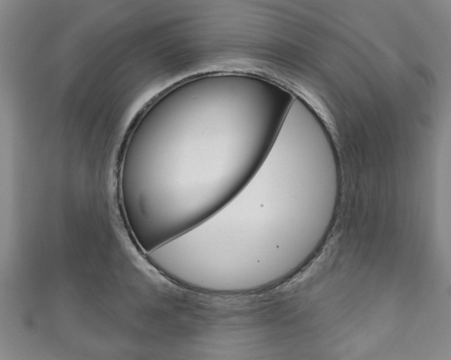 X0000111790944200907230946