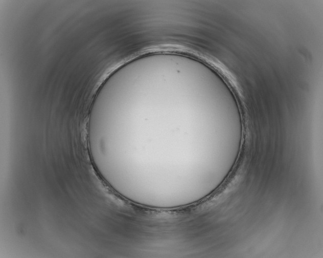 X0000111790945200907230946