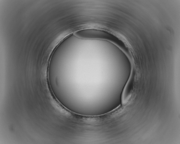 X0000111790946200907230946