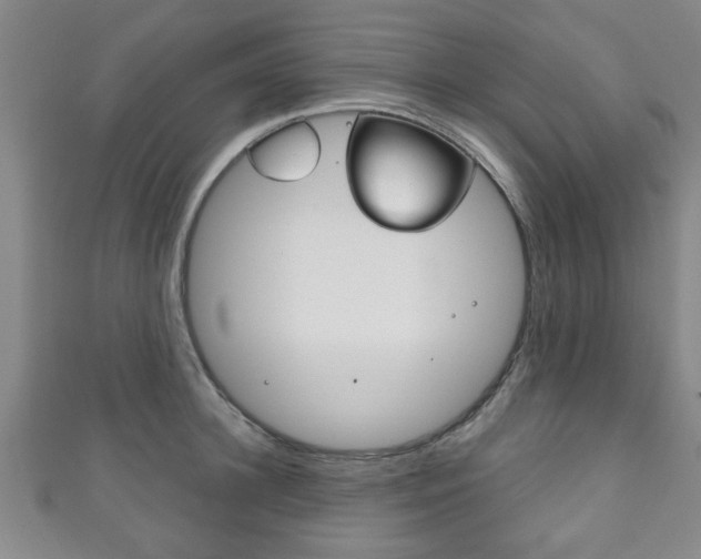 X0000111790948200907230946