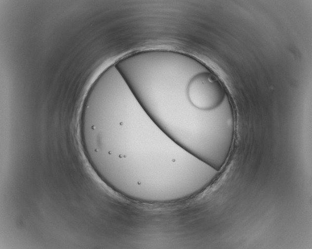 X0000111790949200907230946