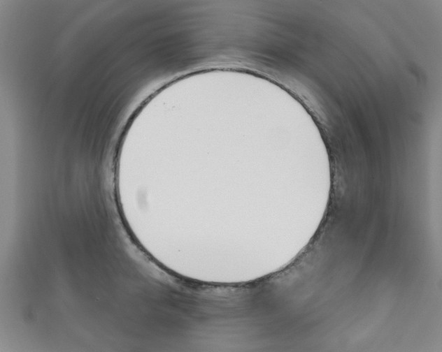 X0000111790950200907230946