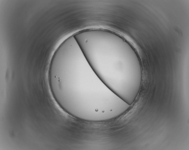 X0000111790951200907230946