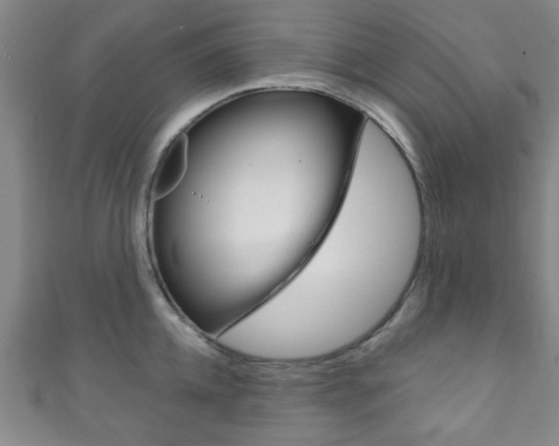 X0000111790952200907230946