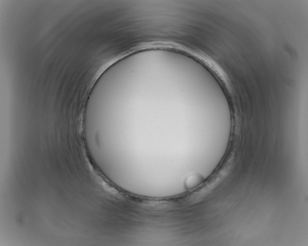 X0000111790953200907230946