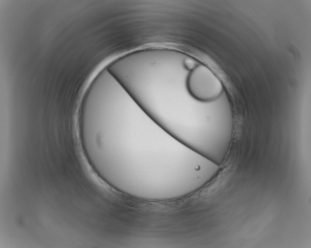 X0000111790955200907230946