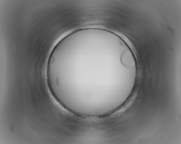 X0000111790957200907230946