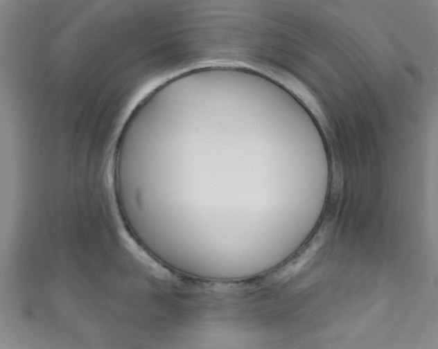 X0000111790958200907230946