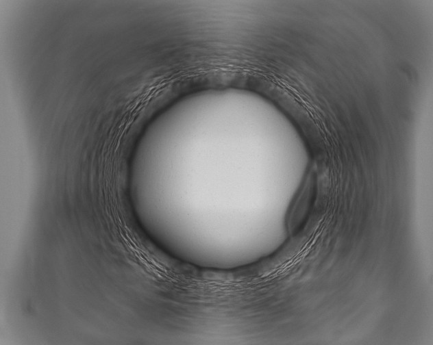 X0000111790961200907230945