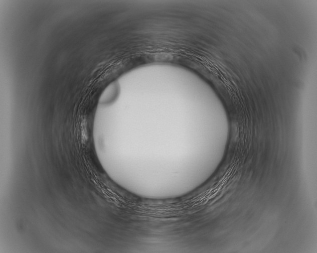 X0000111790962200907230945