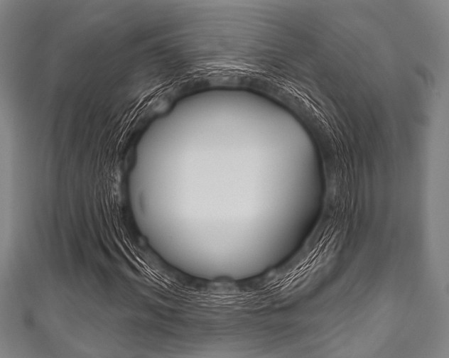X0000111790964200907230945