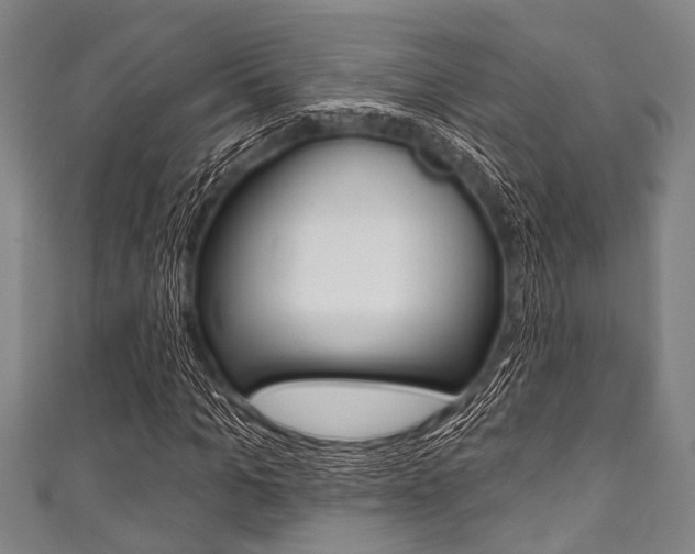 X0000111790965200907230945
