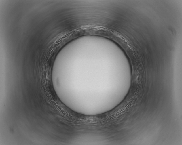 X0000111790966200907230945
