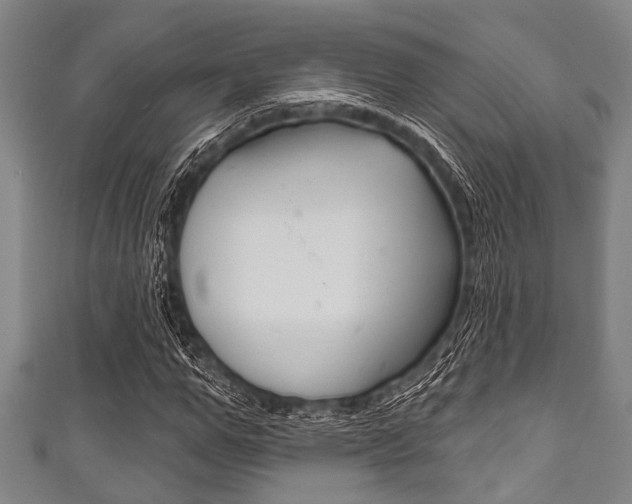X0000111790967200907230945