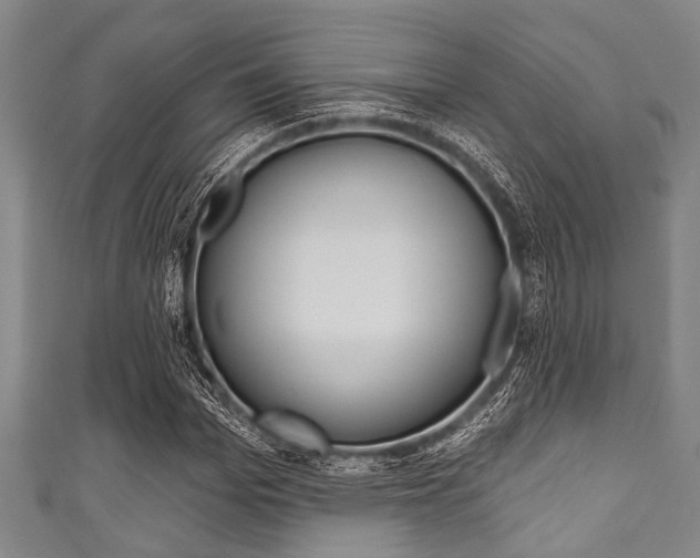 X0000111790969200907230945