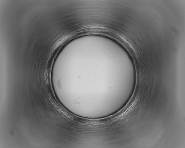 X0000111790970200907230945
