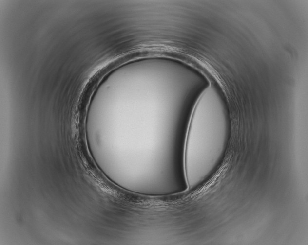 X0000111790971200907230945
