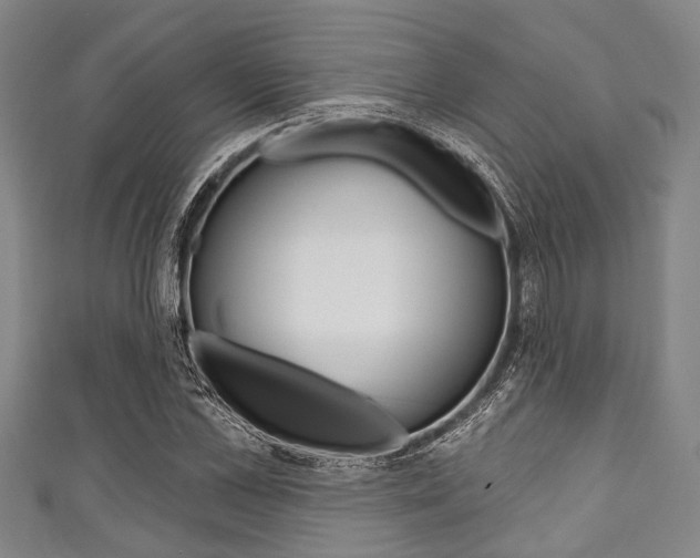 X0000111790973200907230945