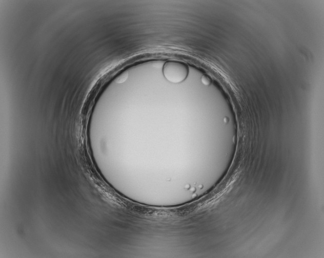 X0000111790974200907230945