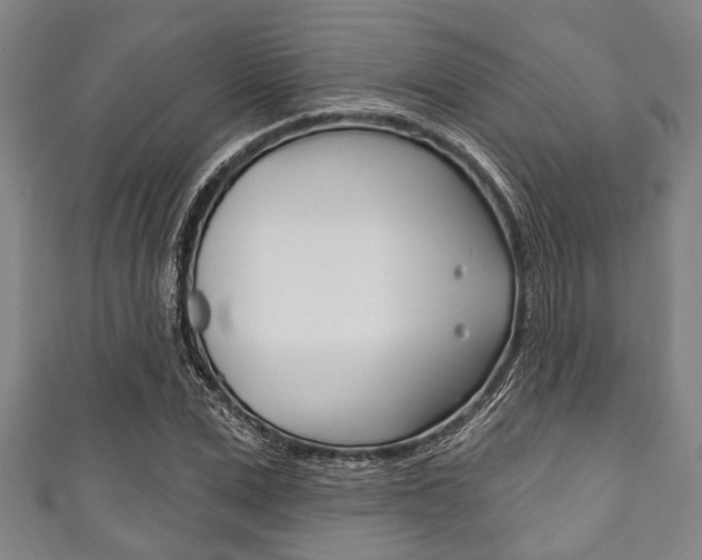 X0000111790975200907230945