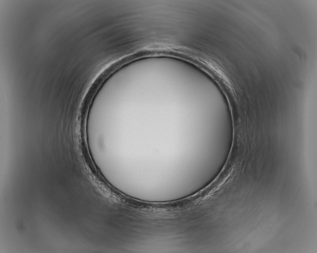 X0000111790976200907230945