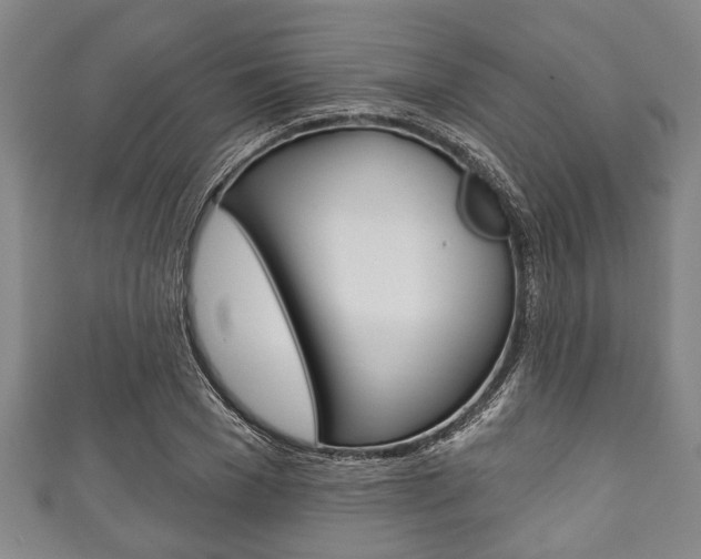 X0000111790977200907230945