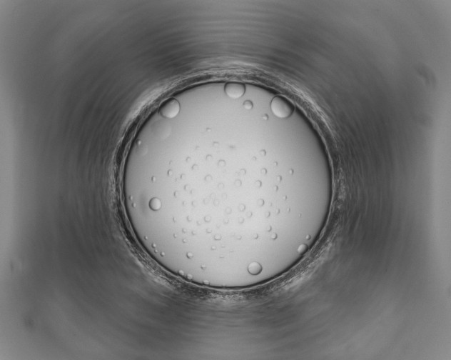 X0000111790978200907230945