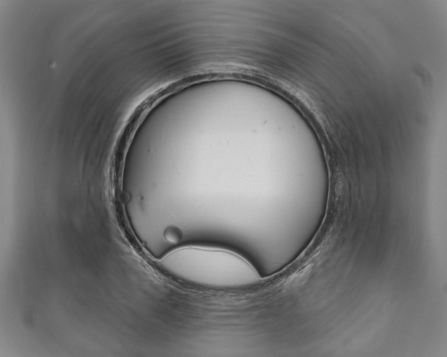 X0000111790979200907230945