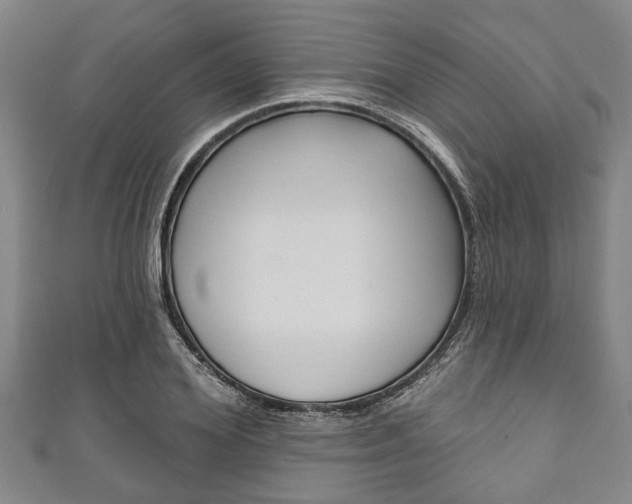 X0000111790980200907230945