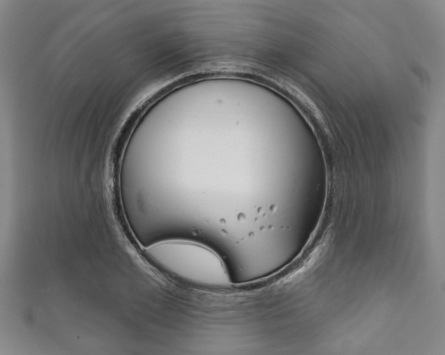X0000111790981200907230945