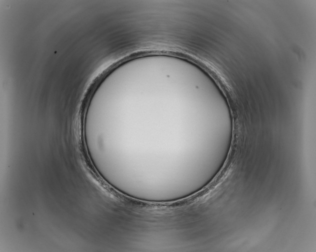 X0000111790982200907230945