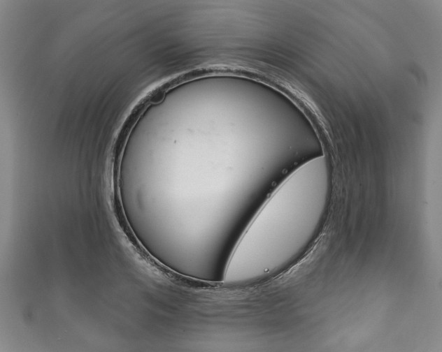 X0000111790984200907230945