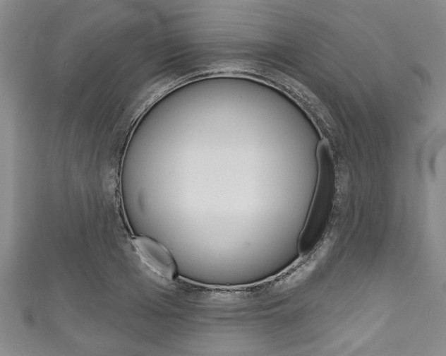 X0000111790985200907230945
